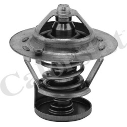 termostatas, aušinimo skystis
CALORSTAT by Vernet