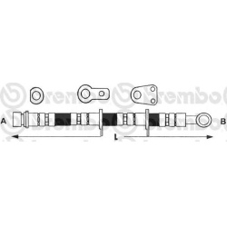Stabdžių žarnelė priekinė
CIA Italija RV2